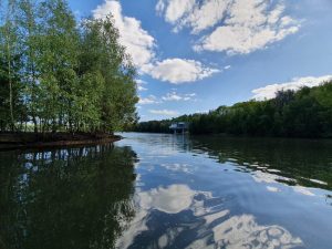 20200505_160518-1-2048x1536