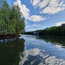 20200505_160518-1-2048x1536